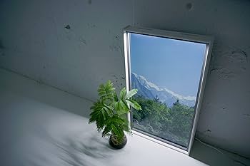 tmoph Window 2 用 LEDライトモジュール Amazon.co.jp: LED Light Module : ホーム＆キッチン