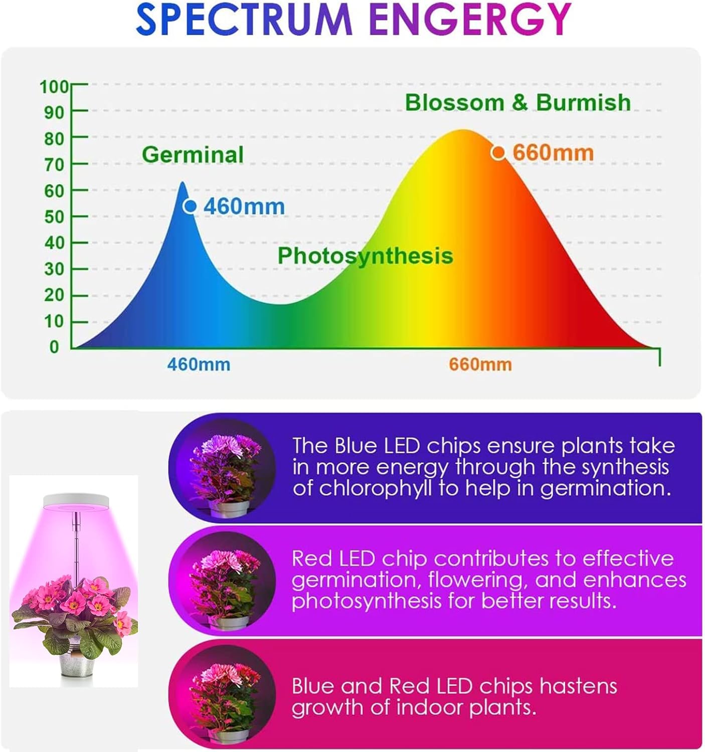 Plant Grow Light, LED Growing Light Full Spectrum with Timer for Indoor