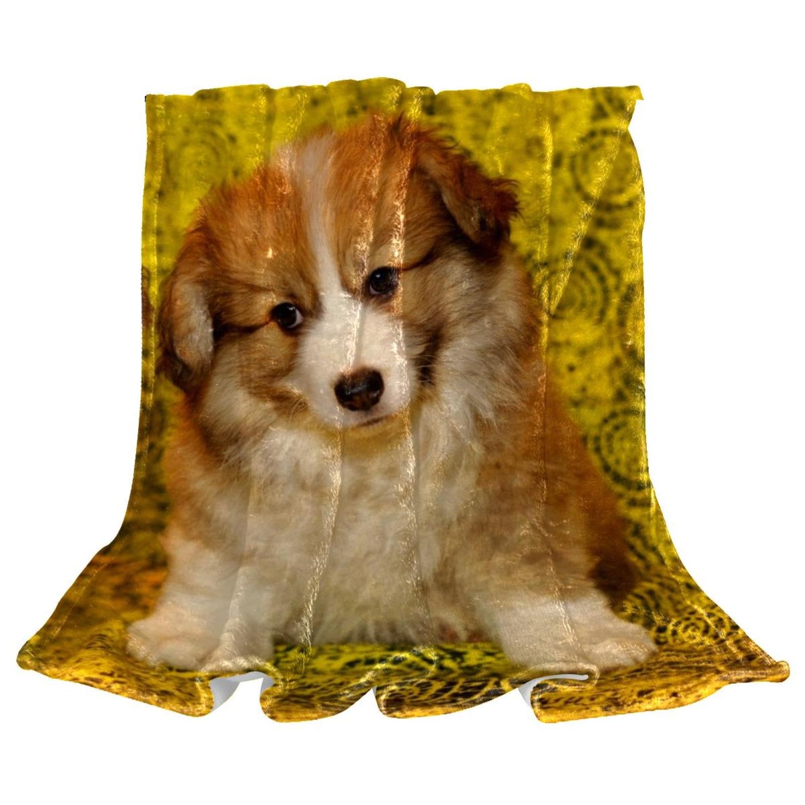 Couverture polaire chien Corgi douce pour offrir un nid chaleureux à votre compagnon