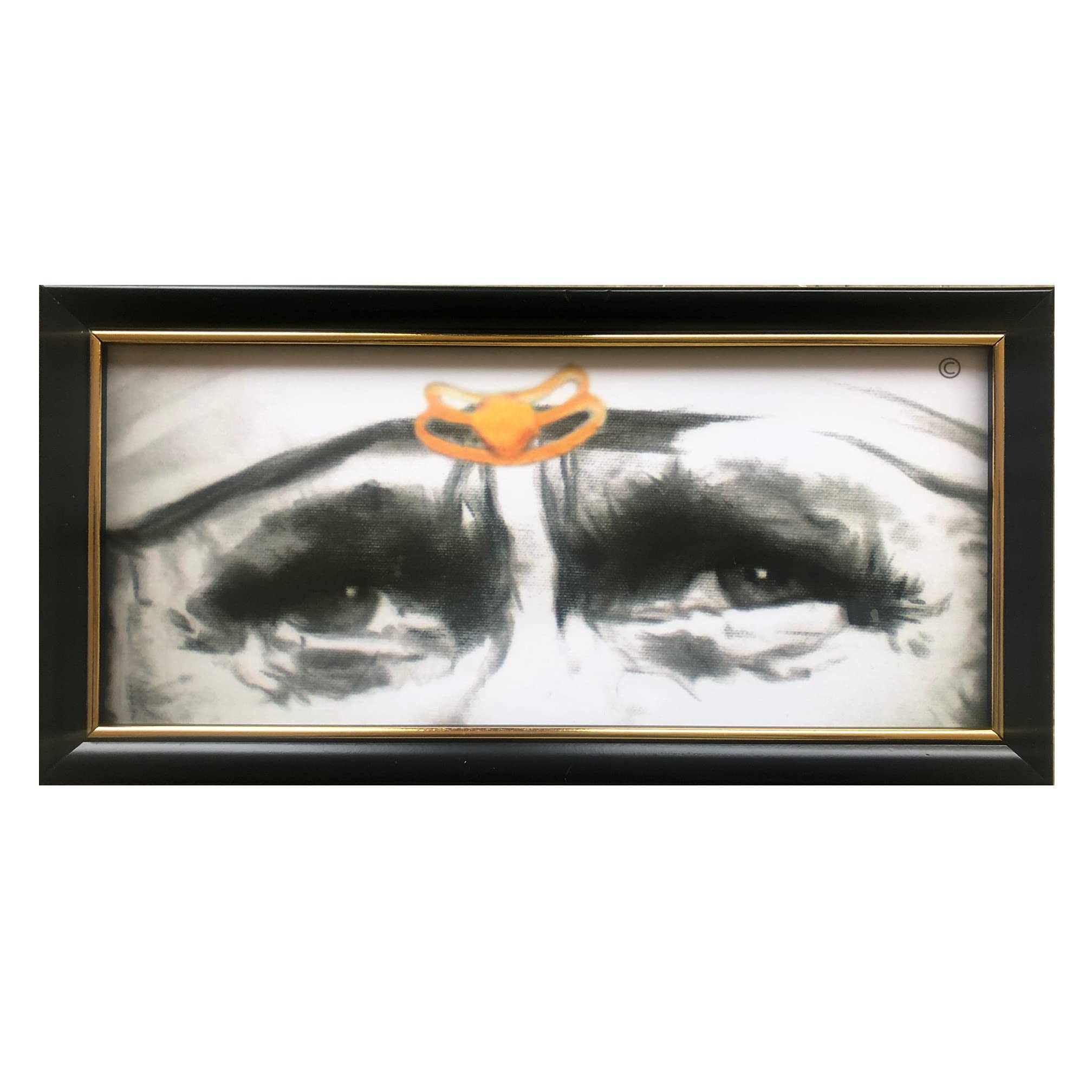 Hemant art Sai Baba Blessing Eyes Photo Frames Religious Wall Mount With Italian Fiber Waterproof Imported Frame - 30x15 Without Stand