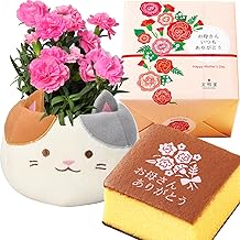 Hana Gift Company Mother's Day Flowers and Sweets, Flowers, Potted Plants, Carnations, Flowerpots, Present, Sweets