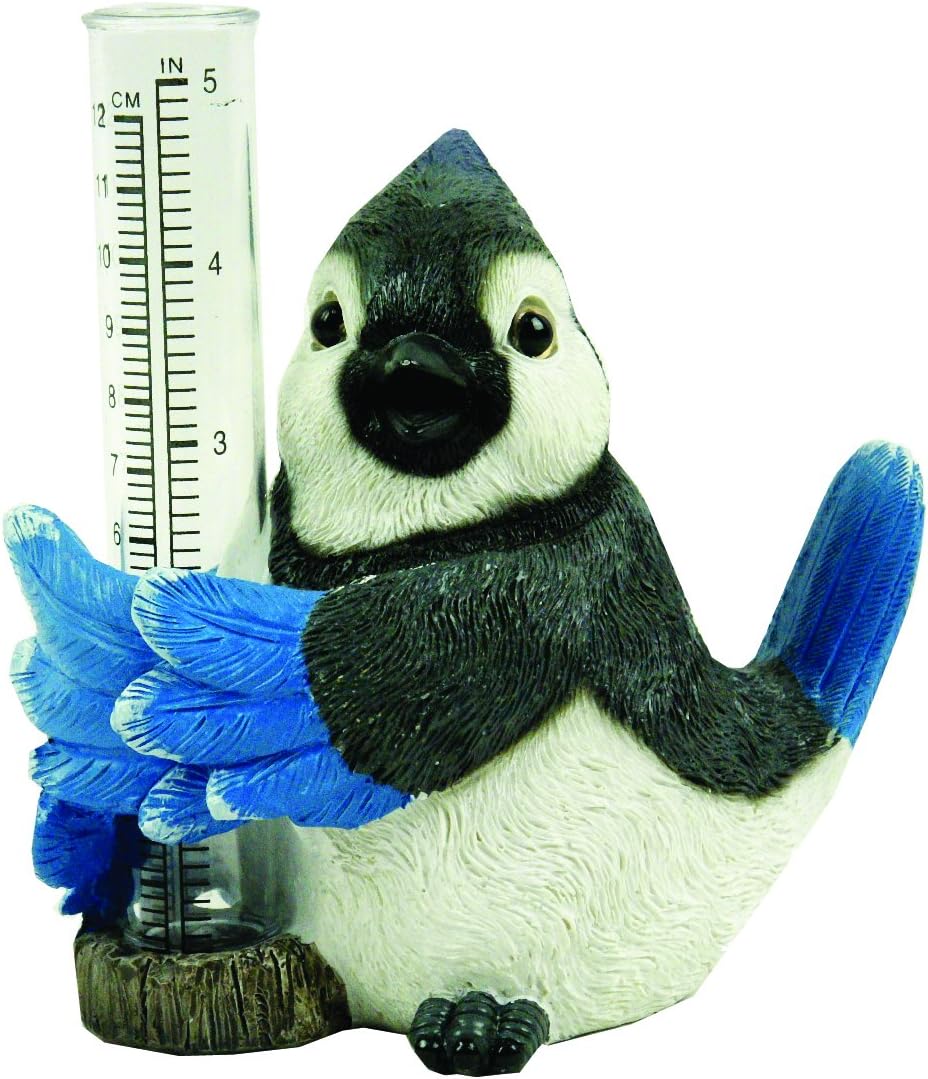 Michael Carr Designs Blue Jay Rain Gauge Outdoor Bird Rain Gauge Figurine for gardens, patios and lawns (80071)