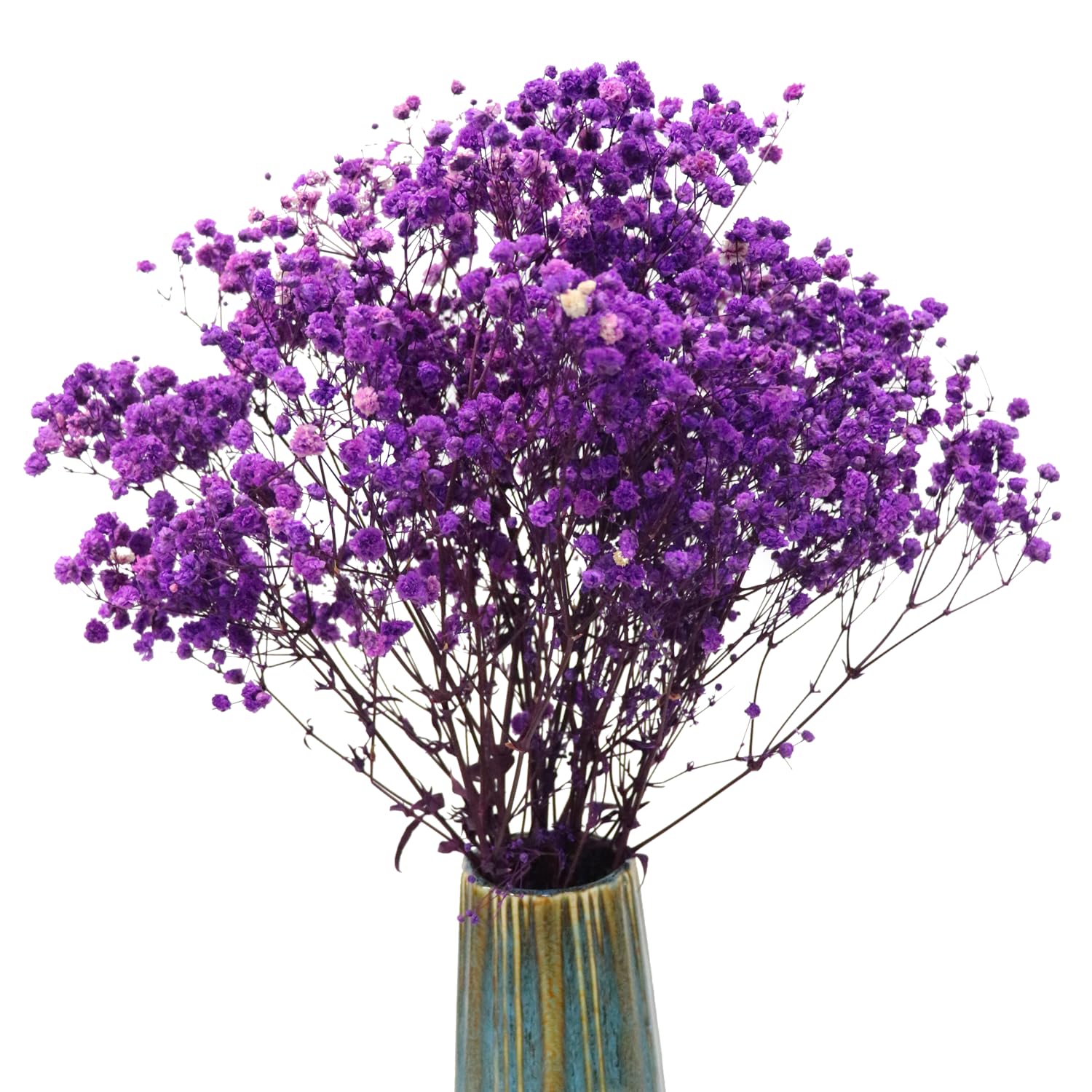 TooGet Fiori secchi naturali Babys Breath Bouquet Rami di Gypsophila per la decorazione della casa, matrimonio, decorazione della tavola, corona floreale fai da te, fiori secchi sfusi per vaso