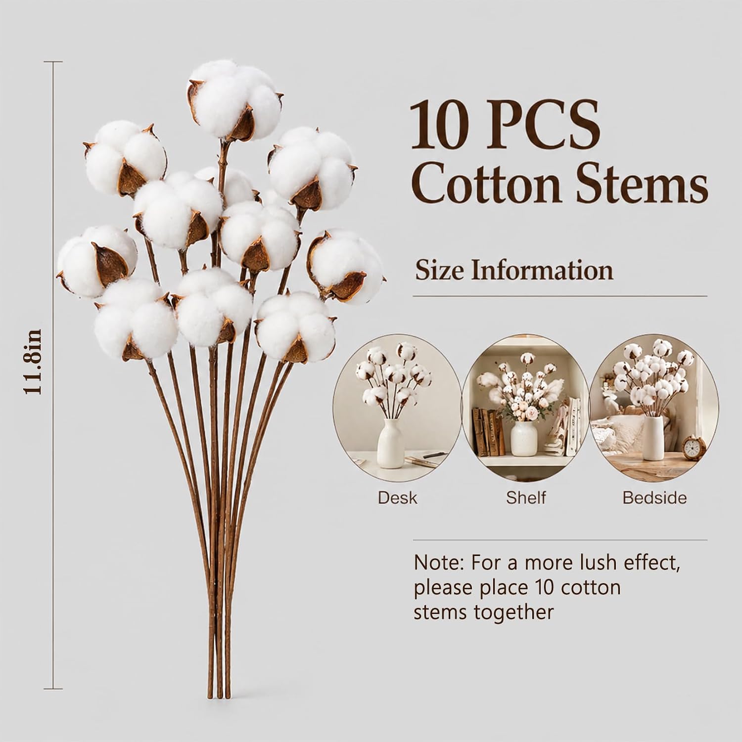 RAINFLOW Cotton Stem 10 PCS White Cotton Sprigs for Rustic Farmhouse Decor