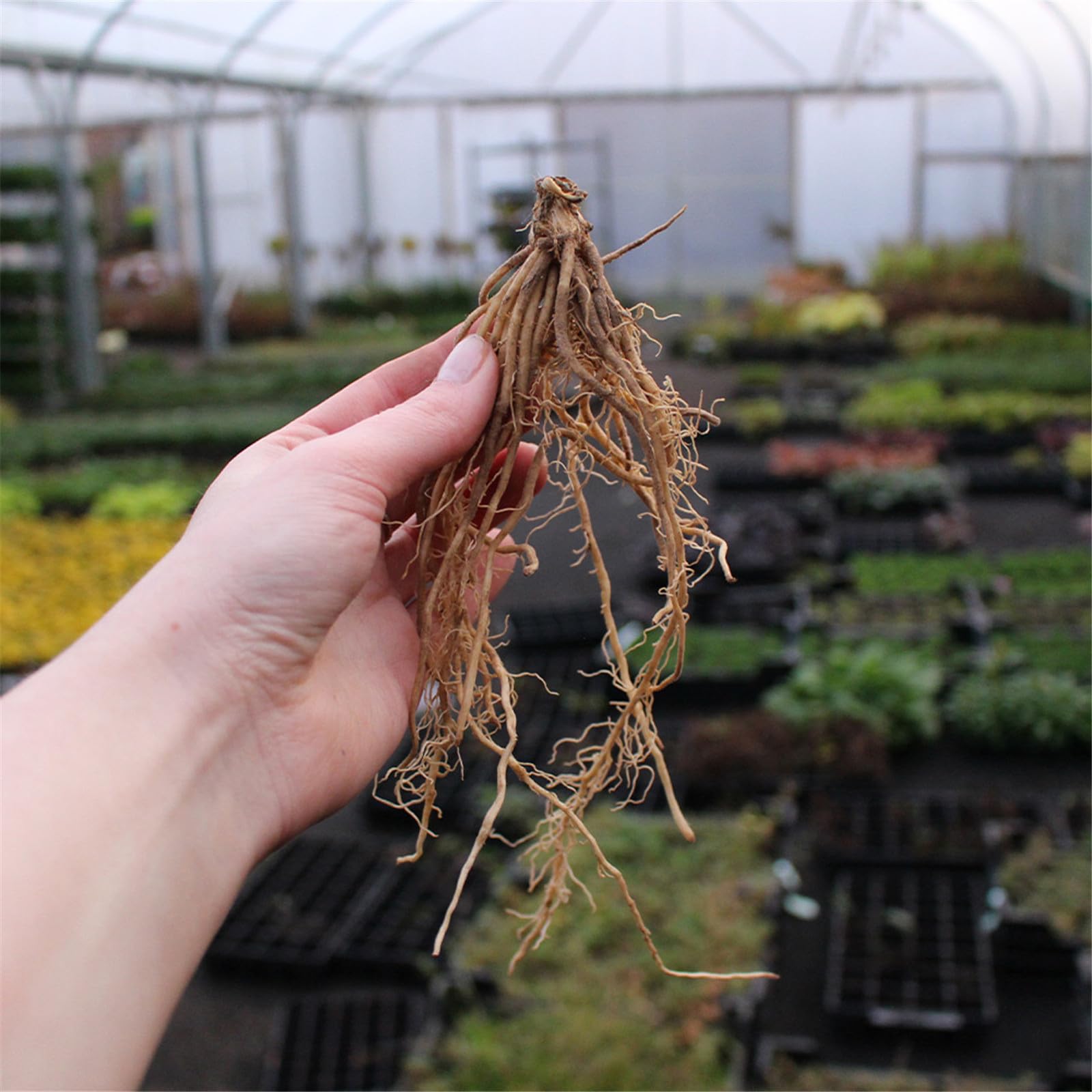 View 2