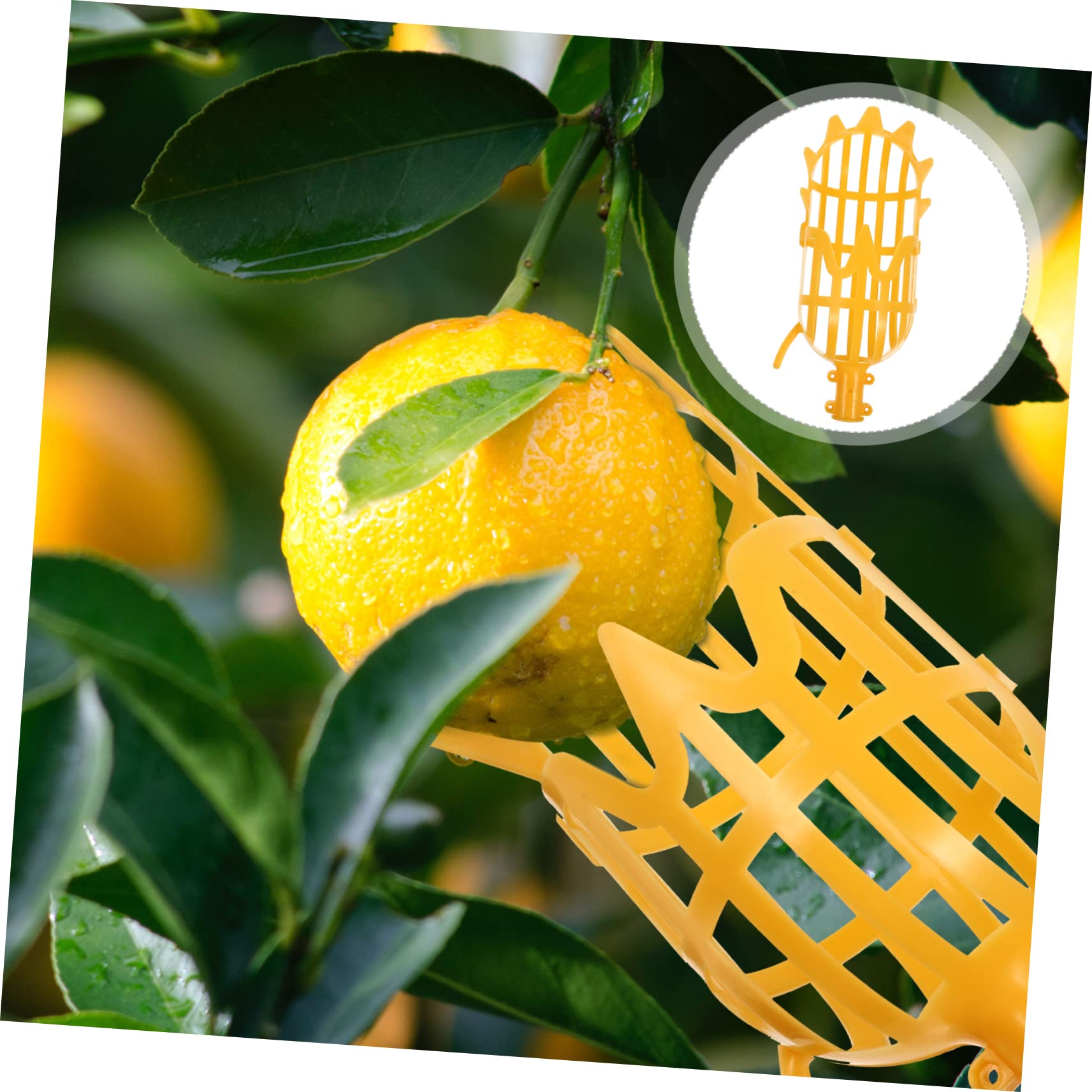 SUPVOX 6pezzi Raccoglitore Frutta Attrezzo Multi-funzionale Per Raccolta Frutta Giardino Pratico Strumento Per Mela e Pesca Facile Da Usare e Riporre Adatto Per Frutteti e