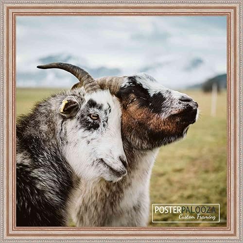 Miniatura 9 de Poster Palooza Marco de fotos de madera tradicional de plata antigua de 27 x 21 pulgadas con acrílico UV, respaldo y herraje