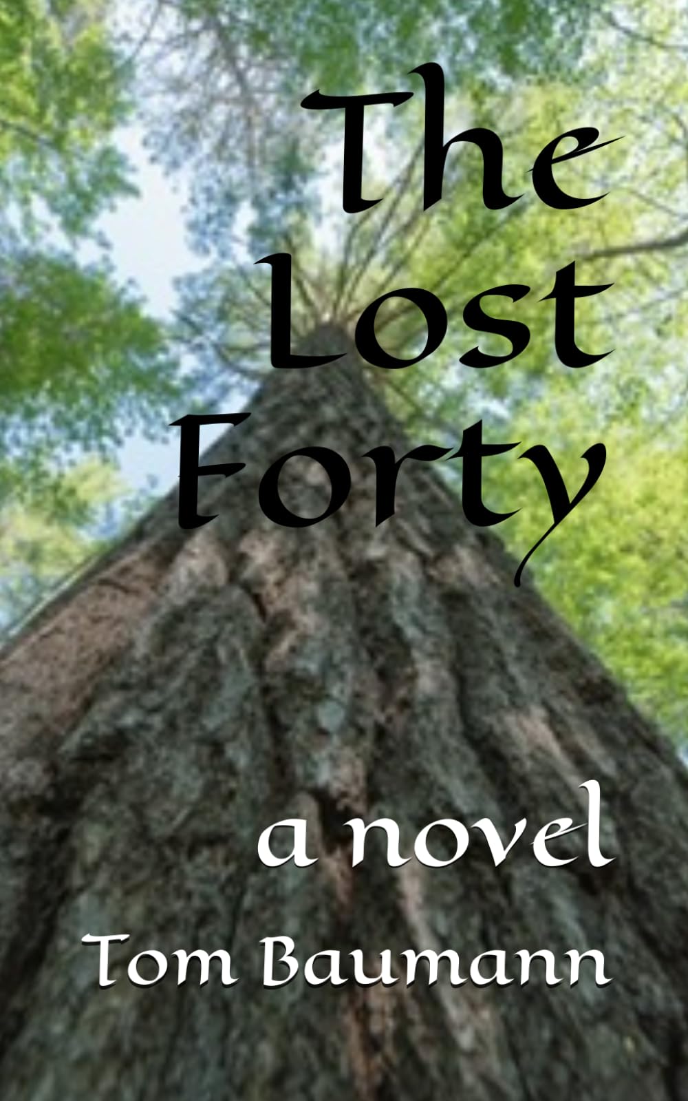 The Lost Forty (Northwoods Trilogy)
