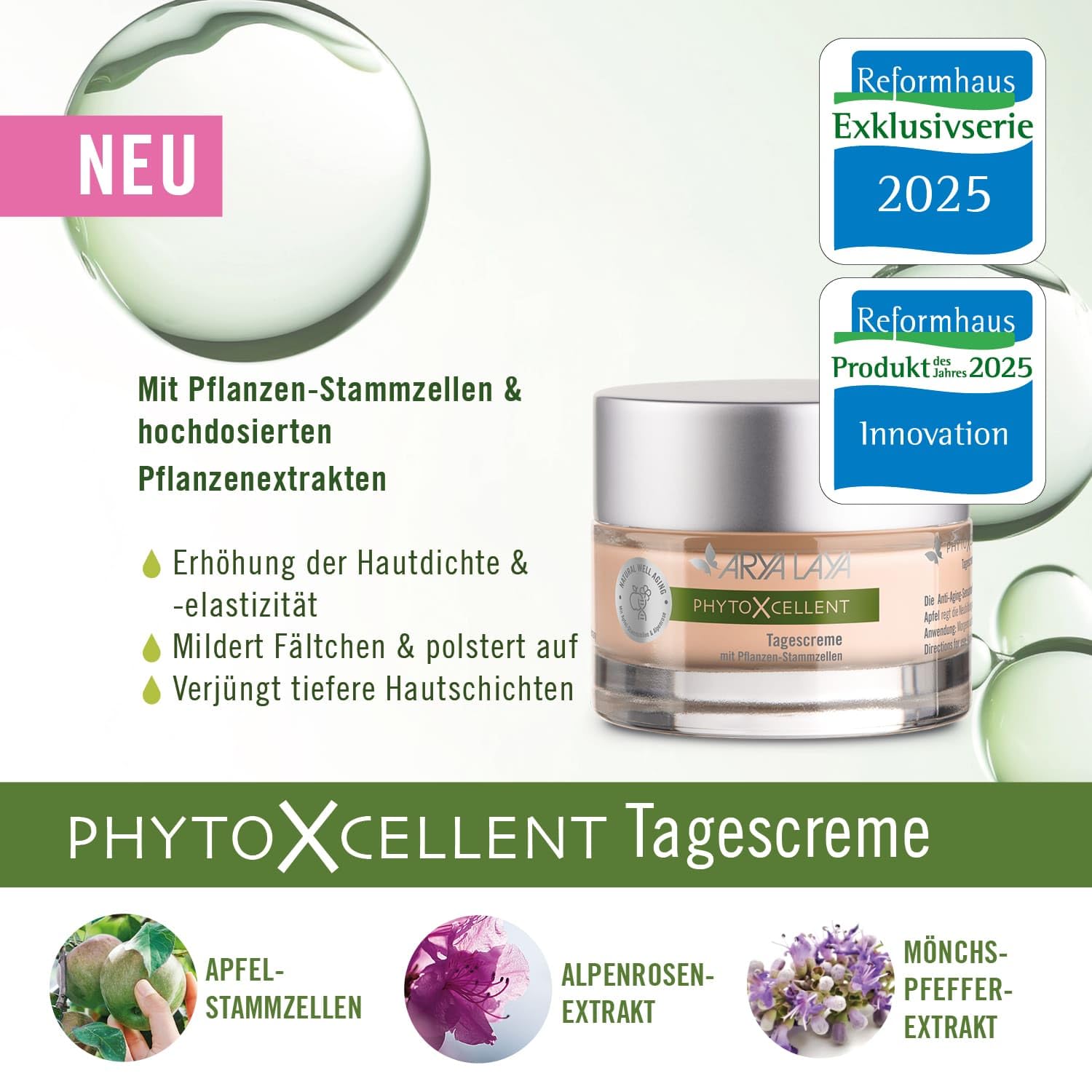 ARYA LAYA PhytoXcellent Tagescreme, 50 ml - mit Pflanzen-Stammzellen: mildert Fältchen & polstert auf, verjüngt tiefere Hautschichten, Erhöhung der Hautdichte und -elastizität, vegan