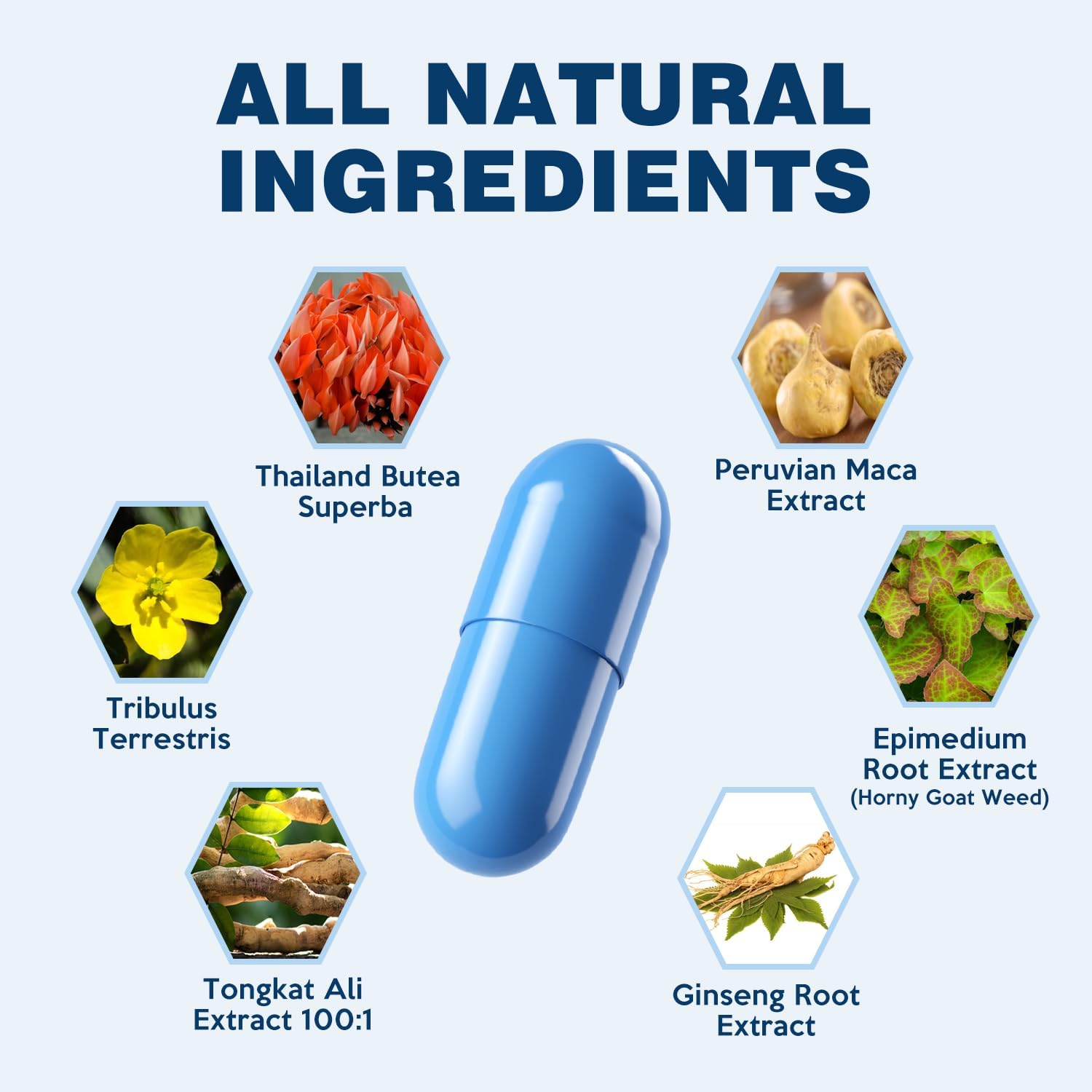 Nutrition Supplement, Maximize Performance, Endurance and Vitality - Pack of 20 - Image 3