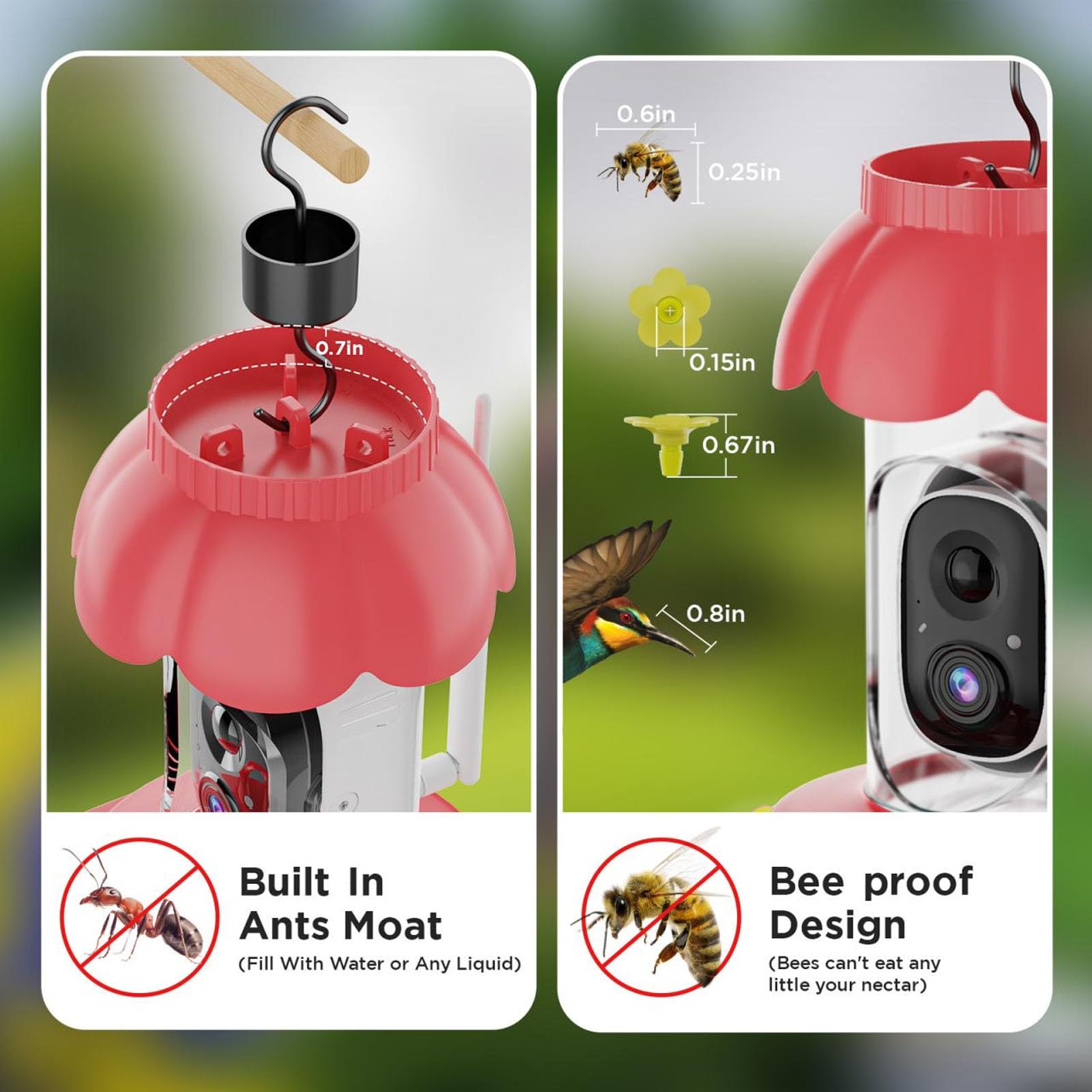 Cámara Inteligente para Comedero de Pájaros con Reconocimiento AI Más de 10000 Especies WiFi Alimentador de Pájaros Cámara Inalámbrica para Exteriores con Visión Nocturna
