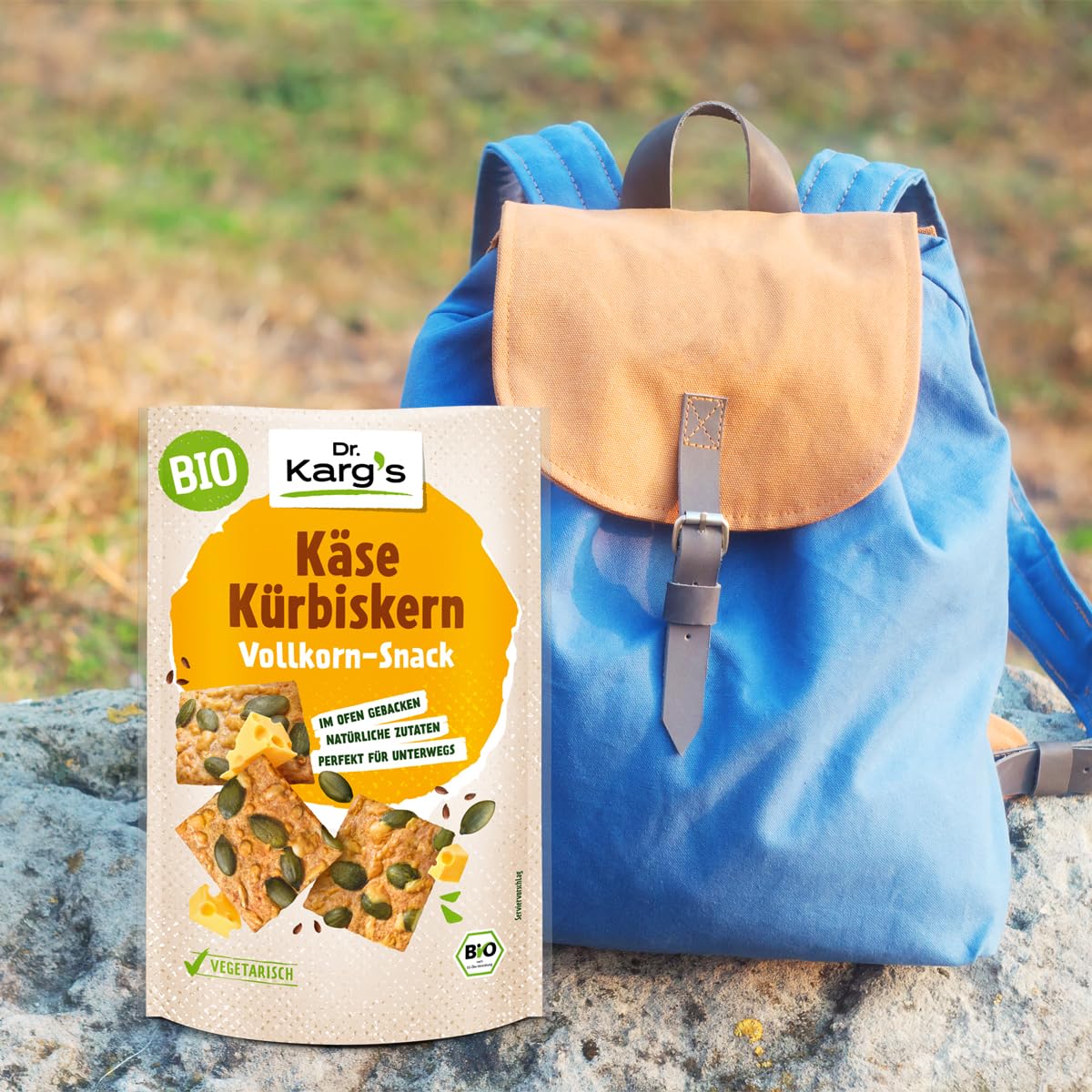 Dr. Karg’s BIO Vollkorn-Snack Käse Kürbiskern - knusprig, vegetarisch, Snack mit Emmentaler & Kürbiskerne, 100% Vollkornmehl & ohne Zusatzstoffe, 10x110g