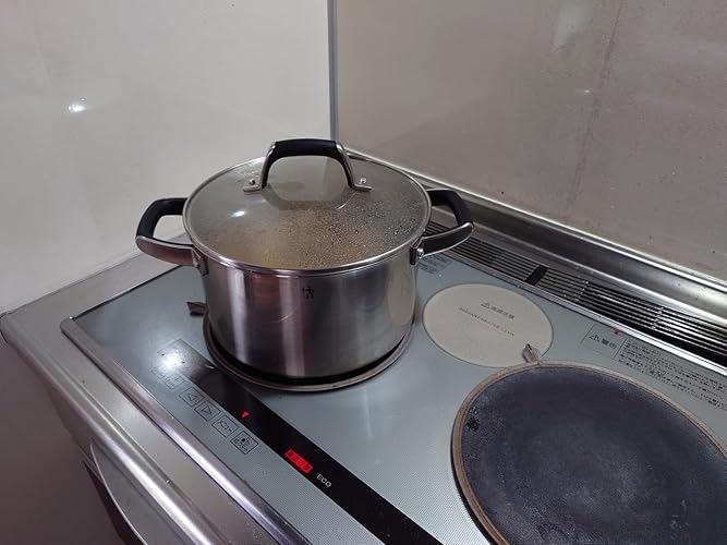 ZWILLING HIスタイル 深型両手鍋 24cm 6L IH対応 シルバー