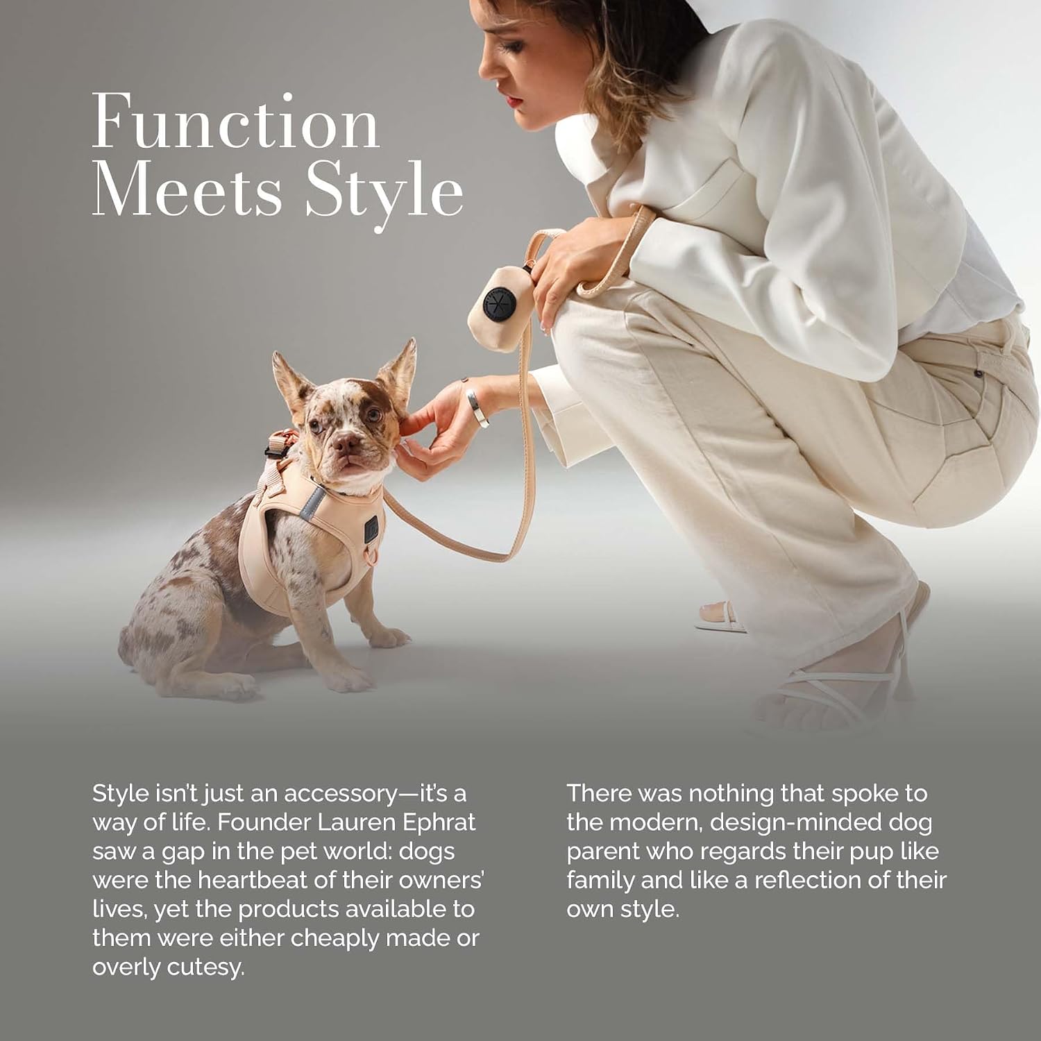 The DOGISTRY - SoHo Dog Harness - Dune - Award-Winning Luxe No-Pull Design - Crafted for Style, Ease & Innovation - L (14-19lbs)