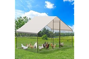 Chicken Coop, Chicken Coop Run, Outdoor Chicken Pen