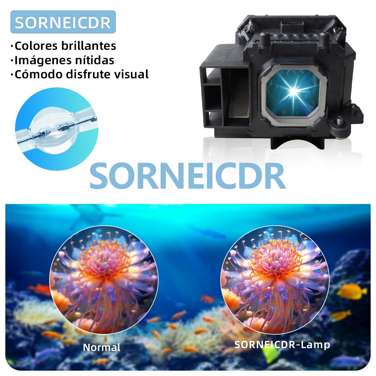 NP17LP Lampada proiettore di ricambio con alloggiamento per NEC M300WS, M350XS, M420X, P350W, P420X Videoproiettore
