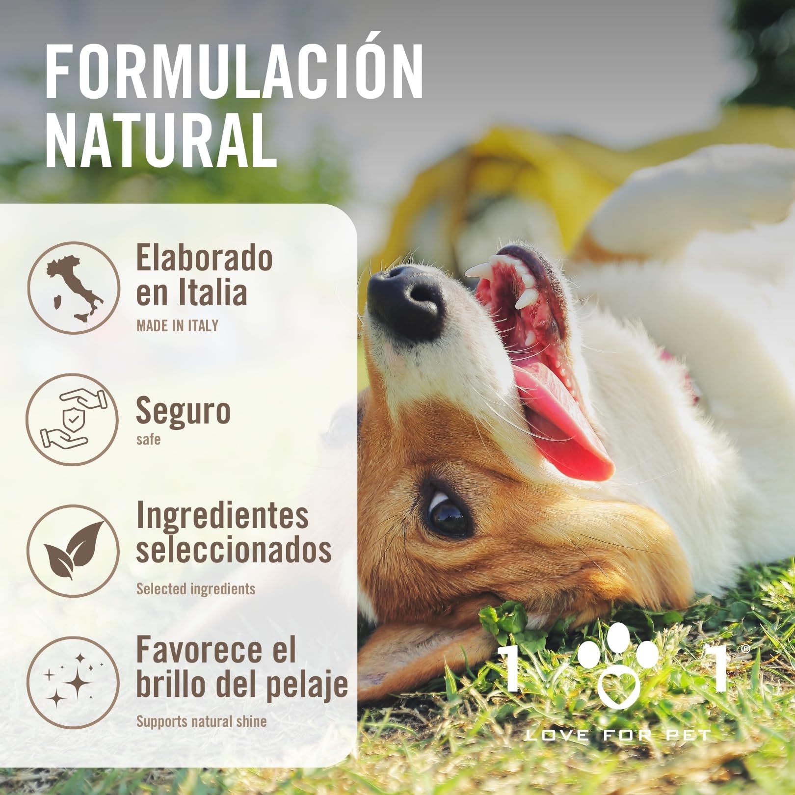 Línea 101 Spray Desenredante Pelo Perros 250ml, Acondicionador Perro Natural con Aceites Vegetales, Acondicionador para Perros Antiestático, Pelo Suave y Brillante, Made in Italy