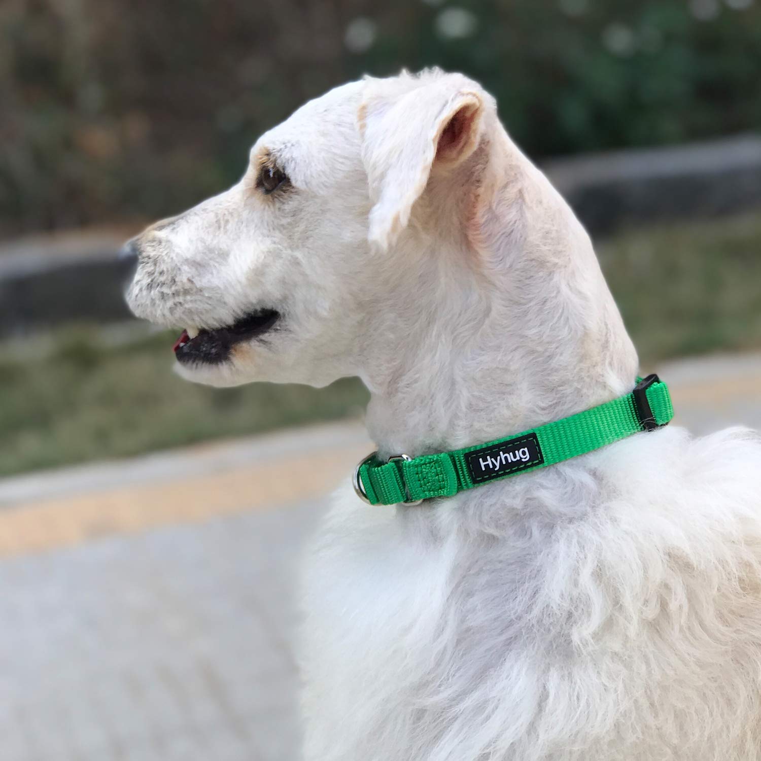 Amazon | Hyhug マーティンゲール式 犬用首輪 バックル無し 耐久で丈夫