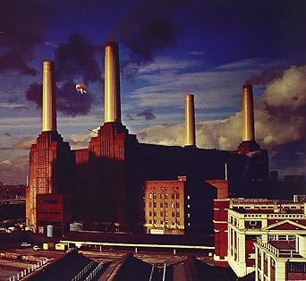 Animals