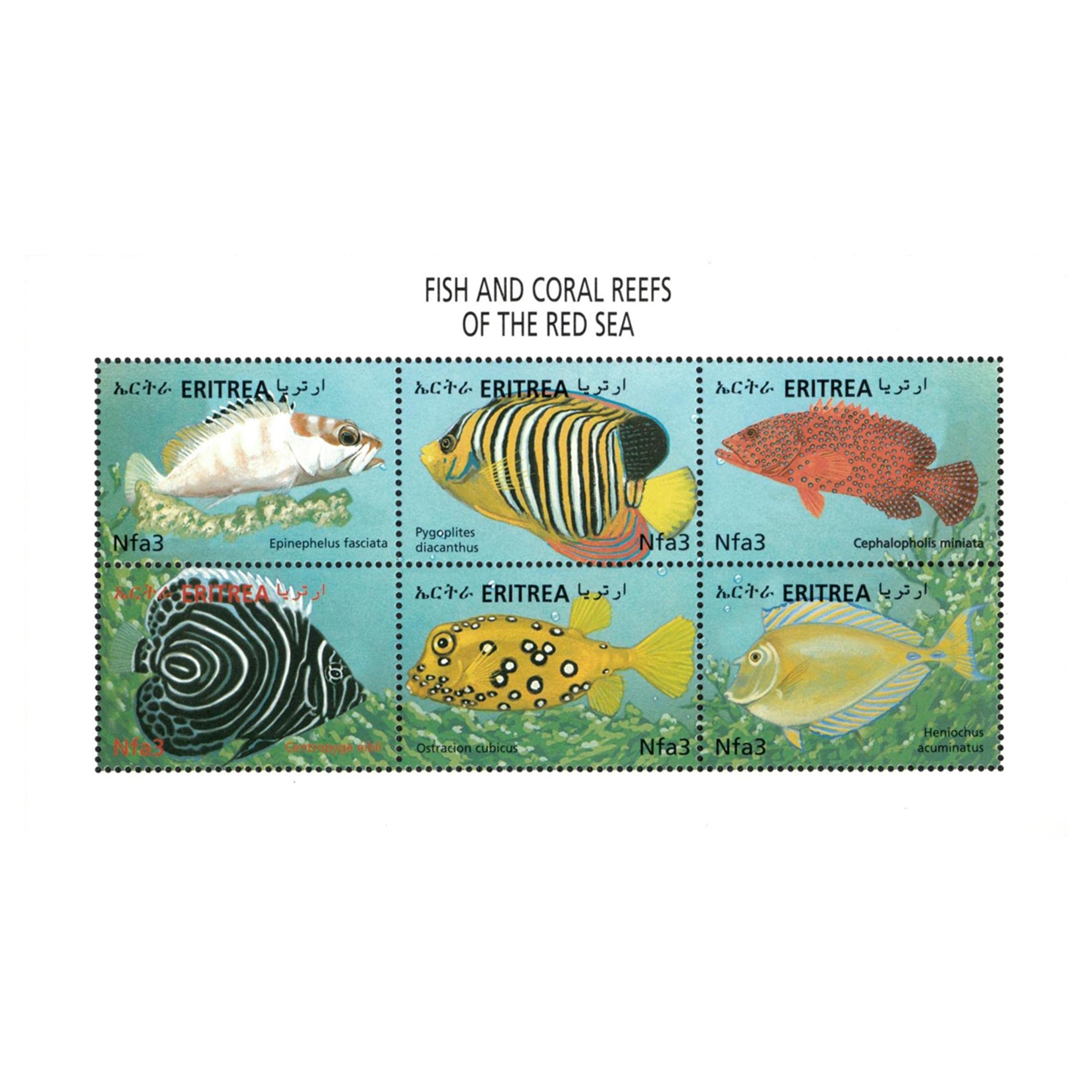 Eritrea Marine Life Sheetlet | Fish Collectible Mail & Postage Stamps from 2000 | Scott 335 | Famous & Rare Postal Stamp & Mailing Merchandise Gift for Collectors & Memorabilia Enthusiast