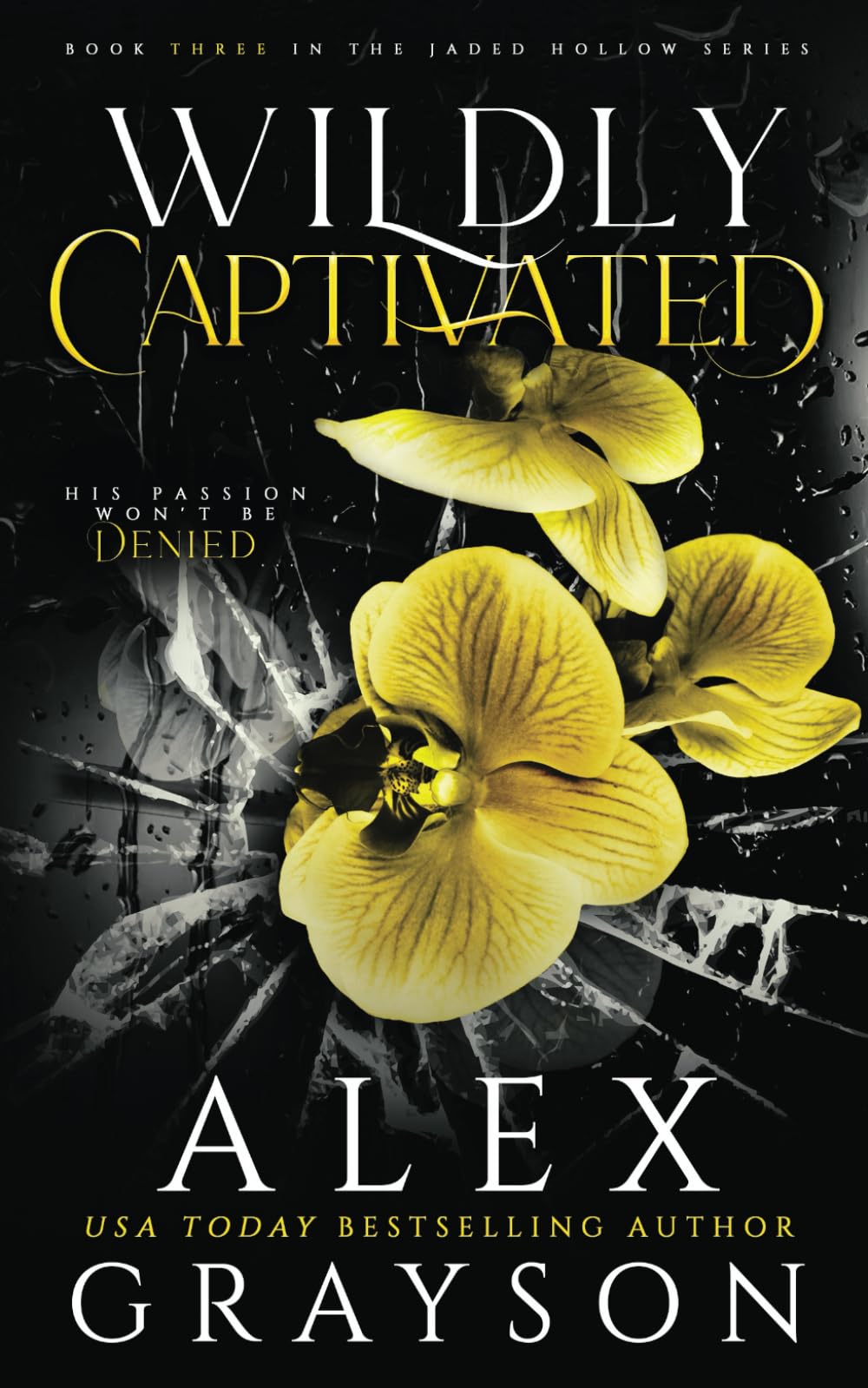 Wildly Captivated: Jaded Hollow, Book Three