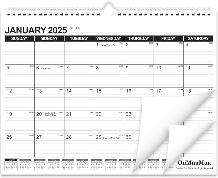 Amazon.com: OuMuaMua Wall Calendar 2025, Calendar Wall 2025, Jan. 2025 to Jun. 2026, 14 amazon-com-oumuamua-wall-calendar-2025-calendar-wall-2025-jan-2025-to-jun-2026-14-x-11-18-month-paper-hanging-planner-wall-with-thick-paper-ruled-blocks-for-office-home-planning-organizing-office-products