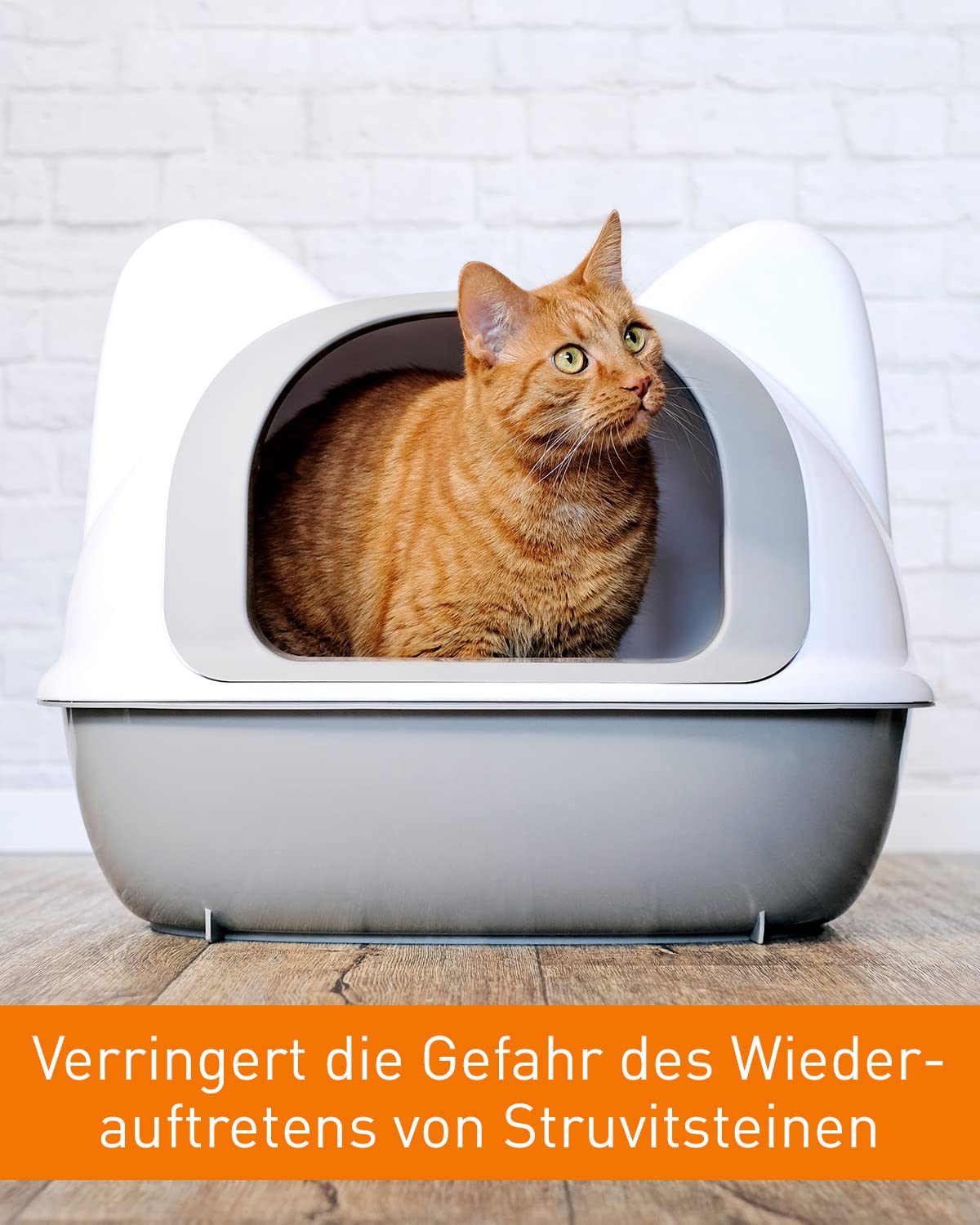 Vetoquinol URO-Pet Paste | Pack Double | 2 x 120 g | Complément Alimentaire pour Chiens et Chats | pour Soutenir la santé des Voies urinaires | avec l'acide aminé DL-méthionine