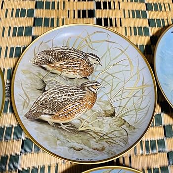 野鳥絵皿　フランス　リモージュ　フランクリンポーセリン　12枚 Amazon.co.jp: 野鳥絵皿 フランス リモージュ フランクリン