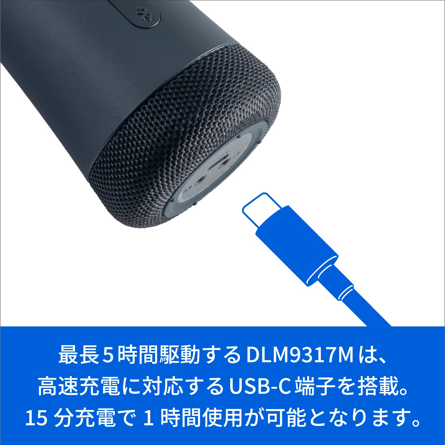 PHILIPS DLM9317C Bluetooth Wireless Karaoke Microphone with