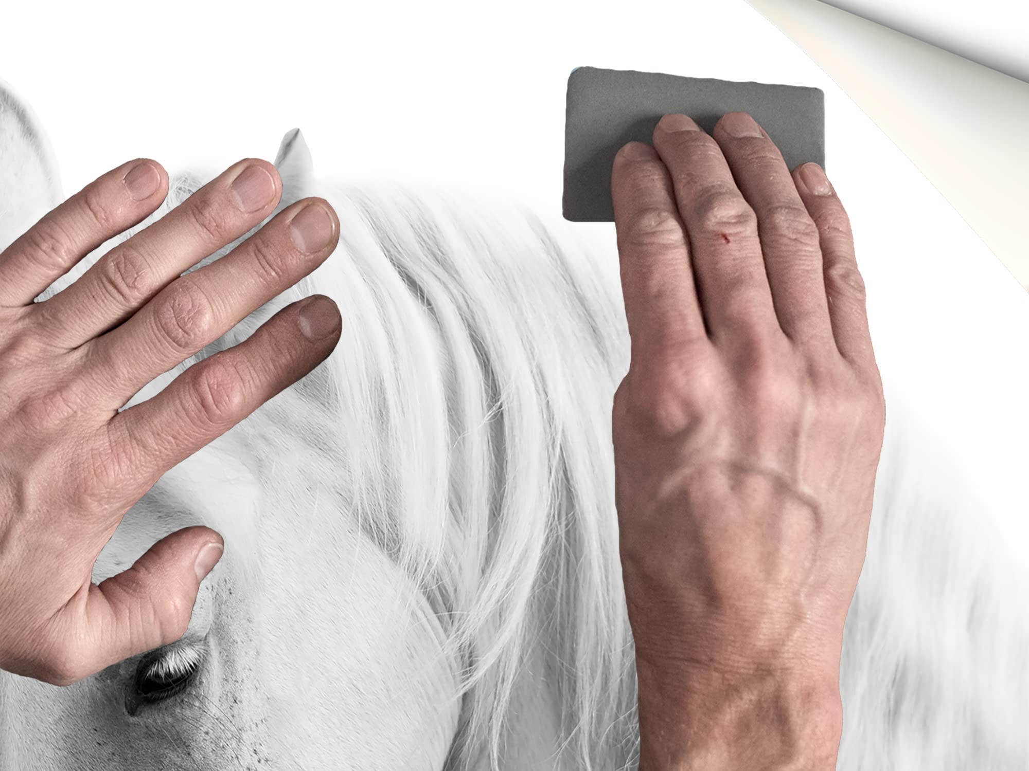 Papel Pintado Para Pared Caballos Blancos | Fotomural para paredes | Mural | Papel Pintado | Varias Medidas 200 x 150 cm | Decoración comedores, salones, habitaciones...