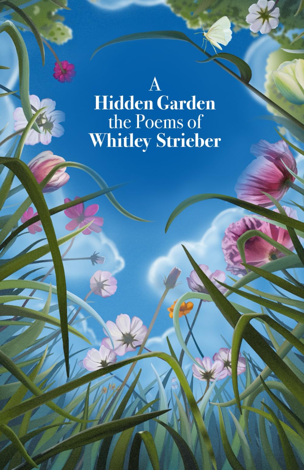 A Hidden Garden