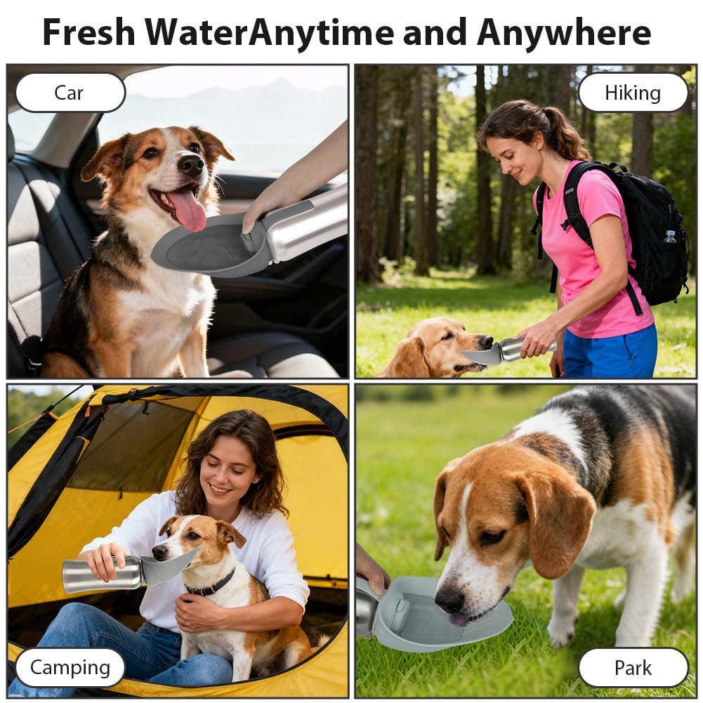 Tragbare Hunde Trinkflasche, 700 ML Isolierte Edelstahl Trinkflasche Für Hunde, Auslaufsichere Haustier Trinkflasche, Hunden Trinkflasche, Geeignet Für Spaziergänge, Wanderungen, Camping, Grau