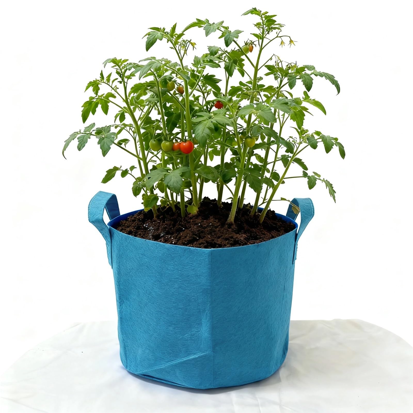 GIYXHU 10 Gallon Grow Bags For Vegetable/Flower/Plant, 5 Aeration Fabric Pots With Handles Cloth For Plants Garden Gift for Flowers Vegetables(SKY BLUE,7Gallon)