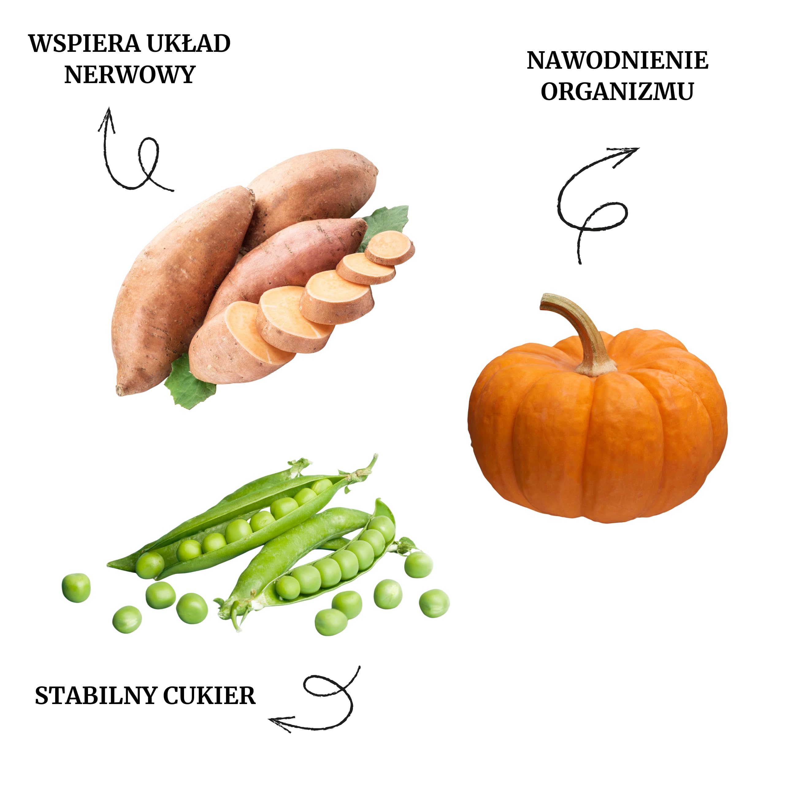Lovira - Karma sucha dla psów - Sucha karma dla psów - Bez zboża, z wysoką zawartością mięsa 50% indyka - z dynią, ziołami i warzywami - Karma sucha dla psów delikatna - Dla dorosłych psów - 3 x 3kg