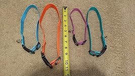 Review Image by Ben T.