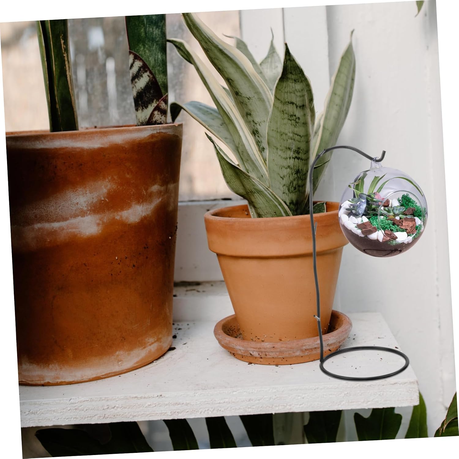 Mipcase Iron Hanging Air Plant Stand Black Hollow Portable Decorative image 3