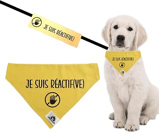 Kit Manchon de laisse et Foulard Bandana pour chien réactif JE SUIS RÉACTIF(VE) se glisse sur le collier 3 grandeurs disponibles (Kit foulard et manchon PETIT)