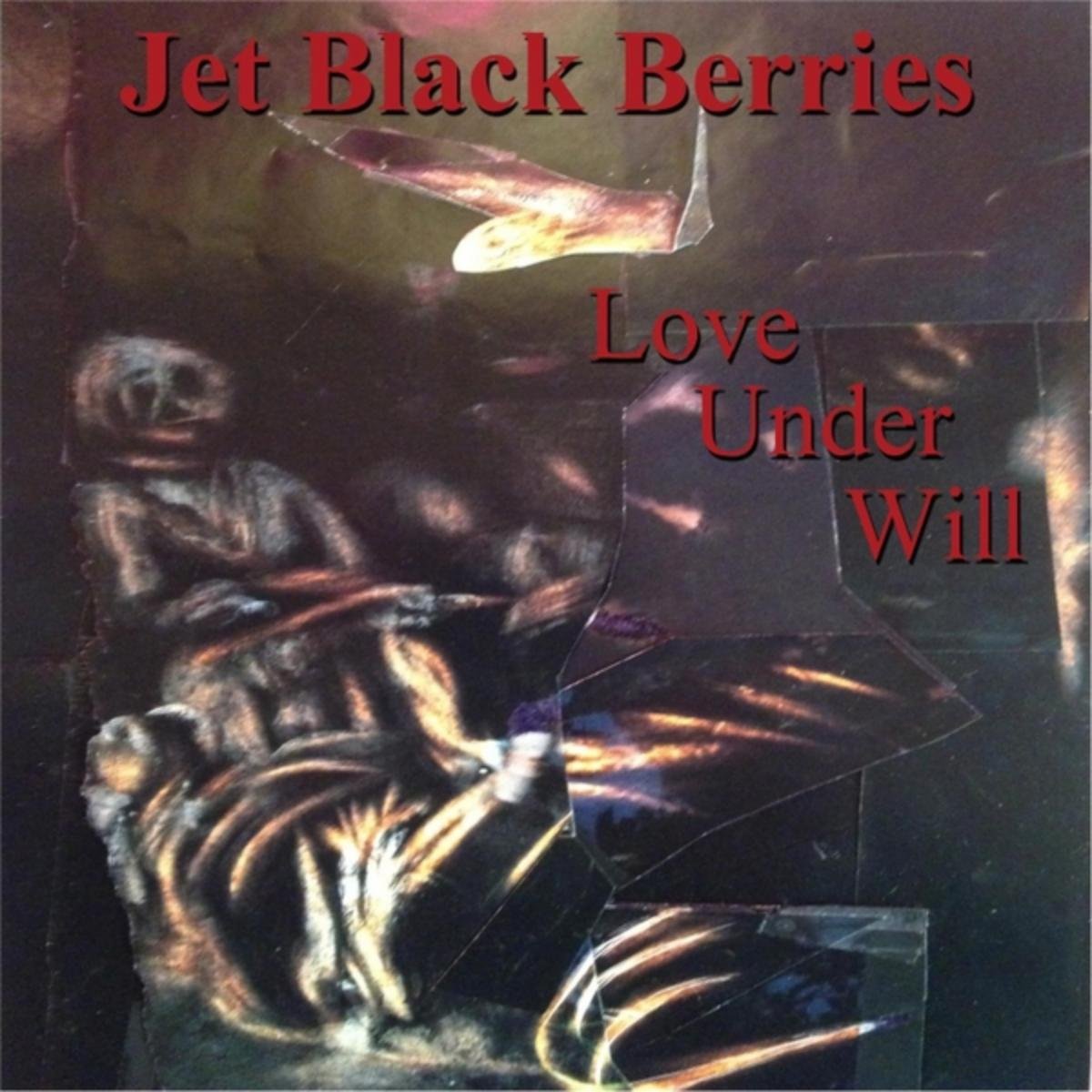 Jet Black Berries