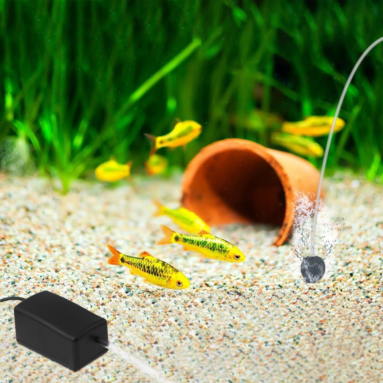 ERINGOGO Solar-teichbelüfter Mit Solarpanel Für Außenteiche Solar-luftpumpe Zur Sauerstoffzufuhr Für Fischteiche Und Aquarien Energiesparende Wasserpumpe Für Teiche Und Aquarien