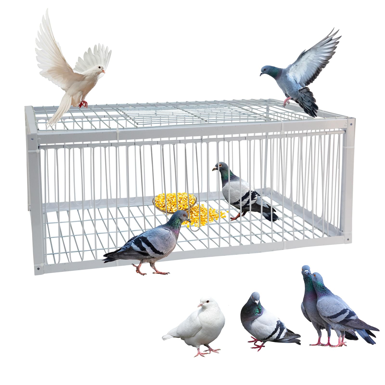 Gabbia per piccioni, gabbia per piccioni con ingresso unidirezionale su 4 lati e 1 lucernario per piccioni, pappagalli, parrocchetti e altri uccelli - 63x43x26 cm