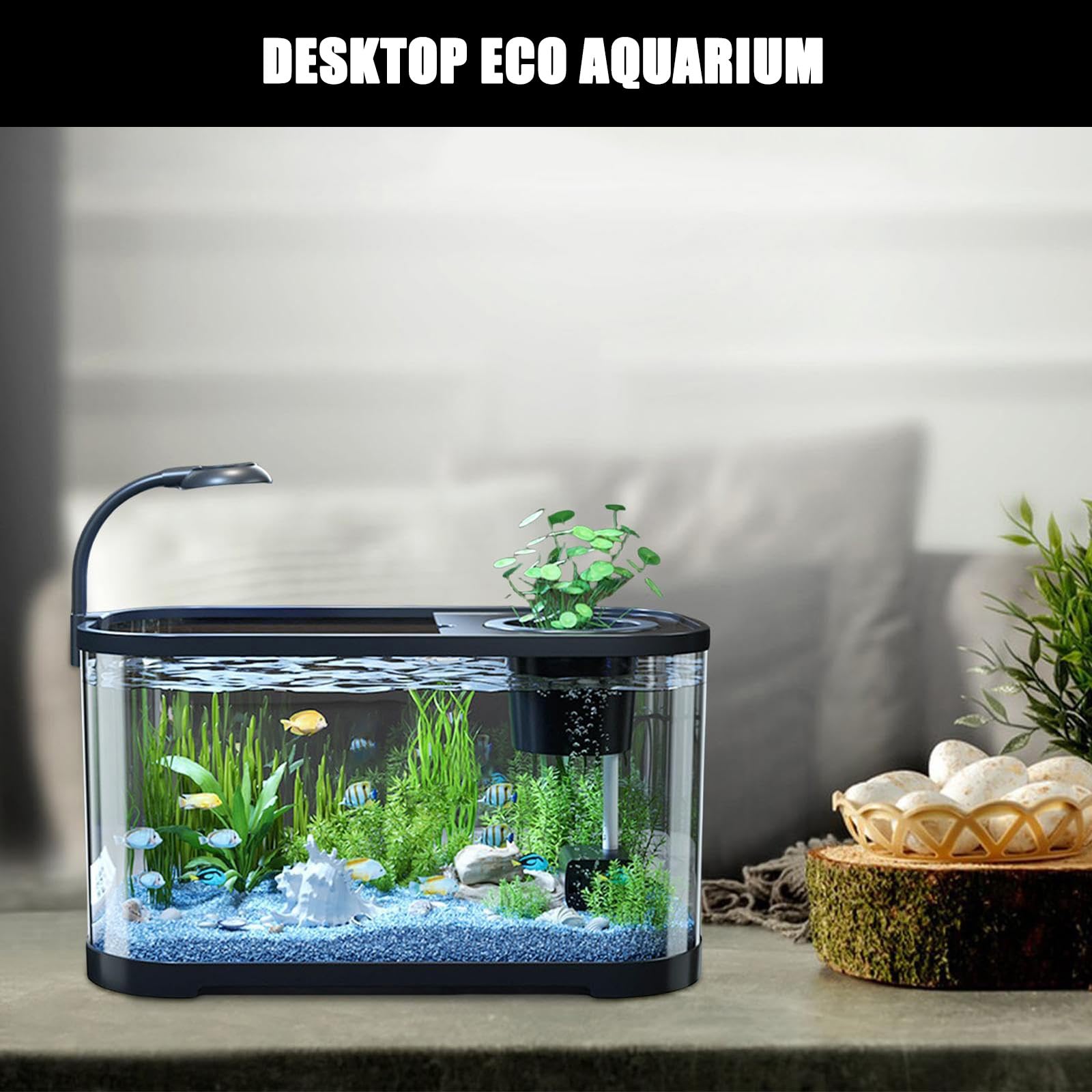 Kit per acquario con filtro e luce LED, ideale per pesci, tartarughe, rane in casa, ufficio, soggiorno