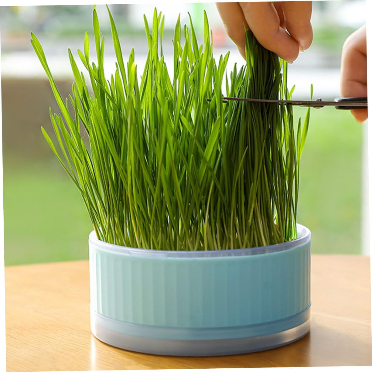 BESPORTBLE 2pcs Hydroponic Cat Grass Planter Soilless Household Planting Box with Design Convenient Growing Kit for Indoor Use Blue Pink