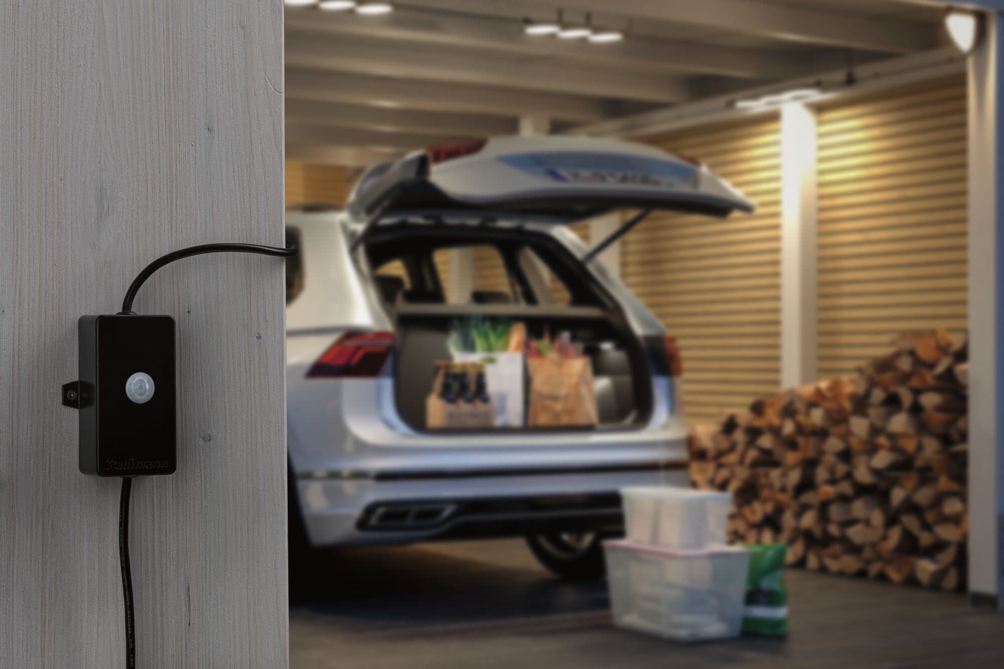 Paulmann Park + Light Contrôleur d'éclairage extérieur avec détecteur de Mouvement IP44 Max. 24 W Dimmodul Noir