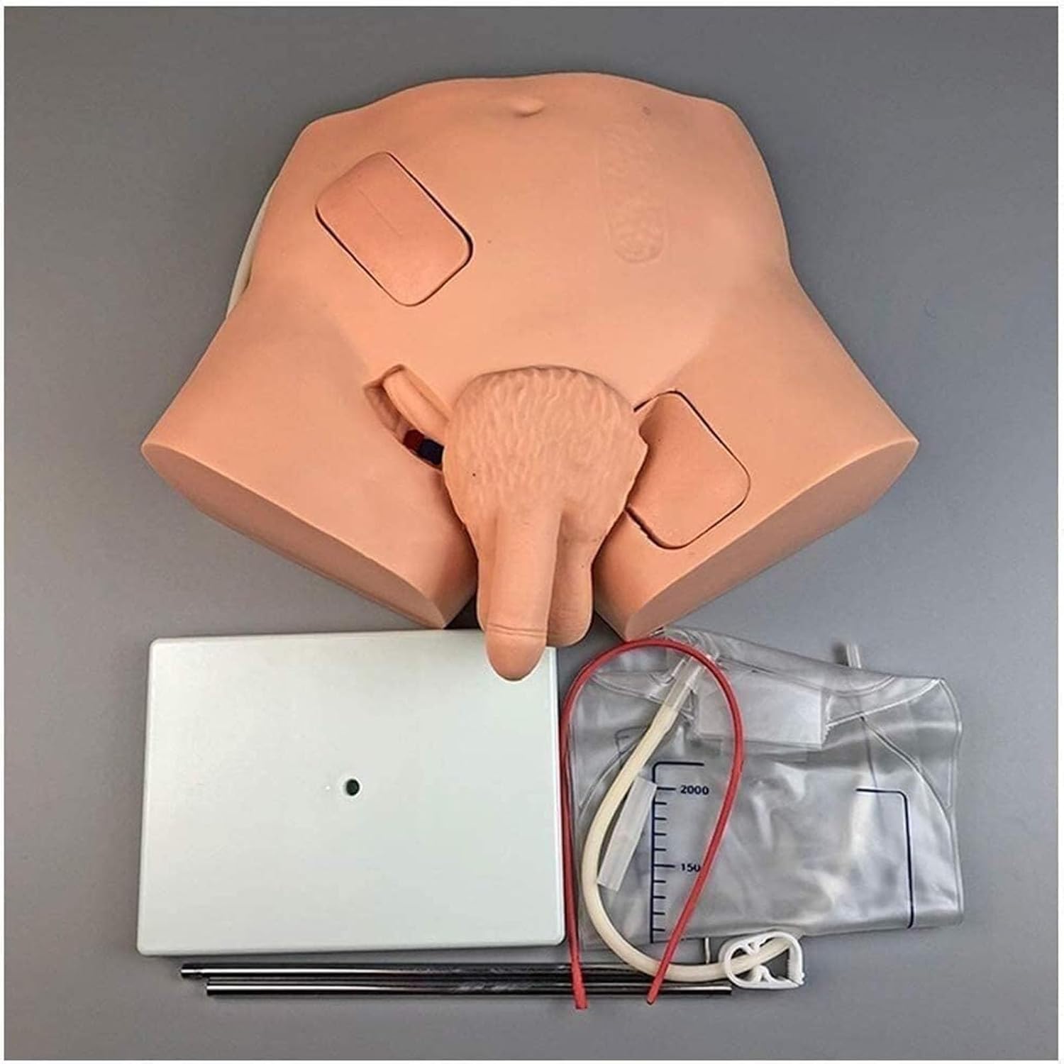 Catheterization Model Reproductive System Anatomy Manikin Male Nursing Practice Urinary Urethral Catheter Manikins