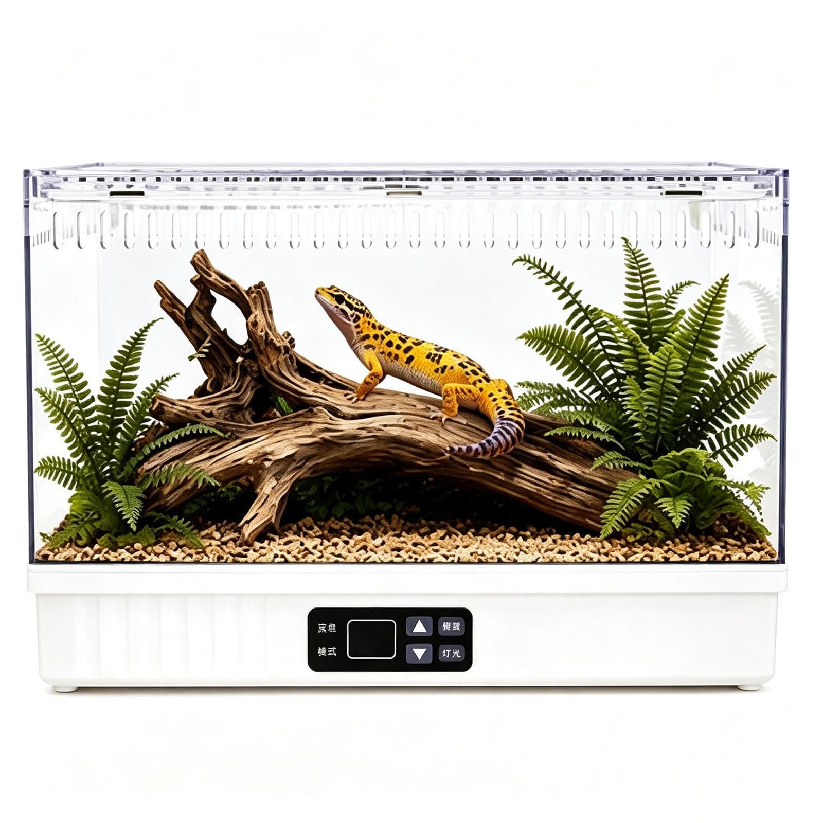 Podgrzewane Terrarium dla Gadów, Cyfrowa Kontrola Temperatury