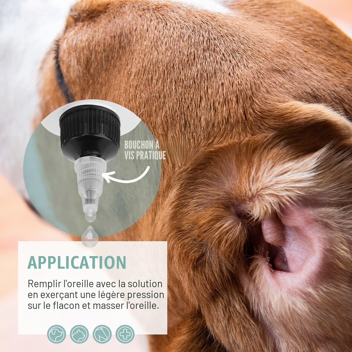 ReaVET Nettoyeur d'oreille pour Chiens et Chats 250 ML – Nettoyeur d'oreille avec Argent colloïdal + Camomille Naturelle I Moyens pour Nettoyer Les Oreilles pour Chien, Chat, Cheval