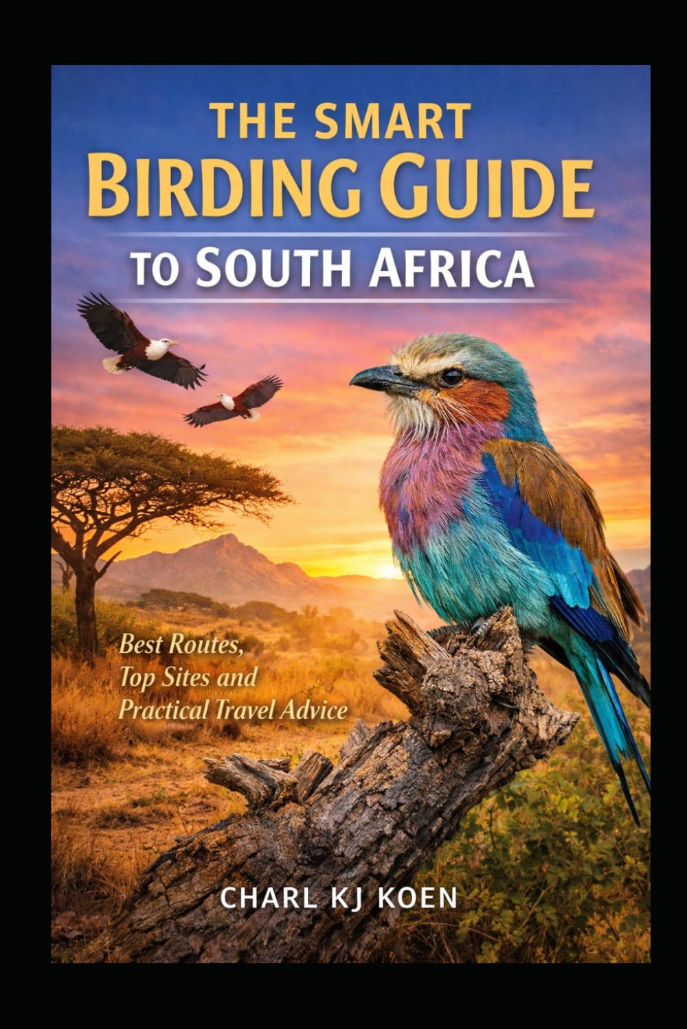 The Smart Birding Guide to South Africa: The Best Birding Routes & Destinations and Practical Travel Advice