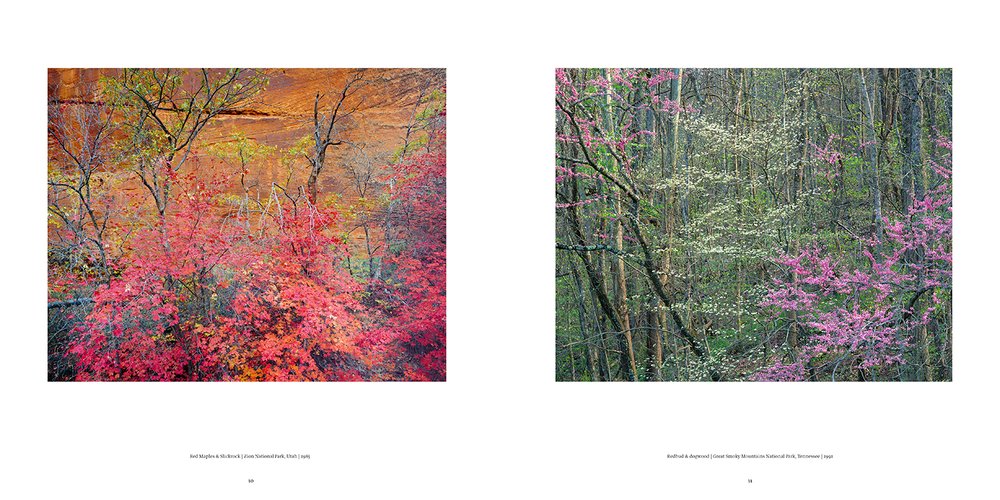 William Neill - Photographer: A Retrospective
