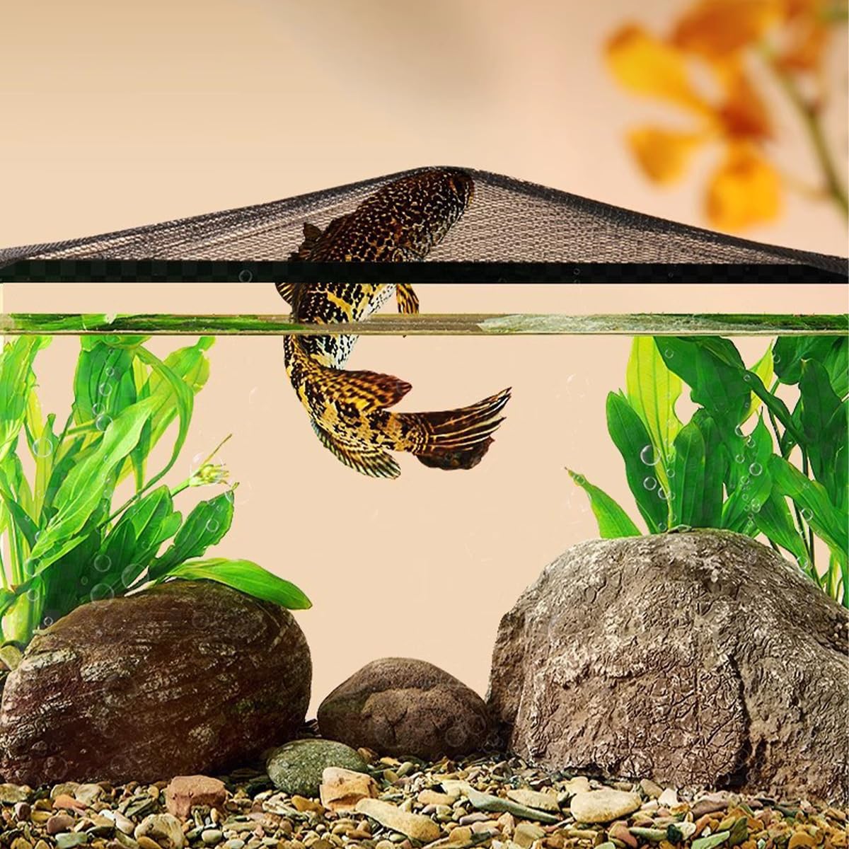 Rete Per Evitare Salti Pesci Coperchio Magnetico Per Acquario Fai Da Te - Rete Protettiva 37x18'' Per Evitare Fughe Di Pesci Rete Per Acquario Fai Da Te