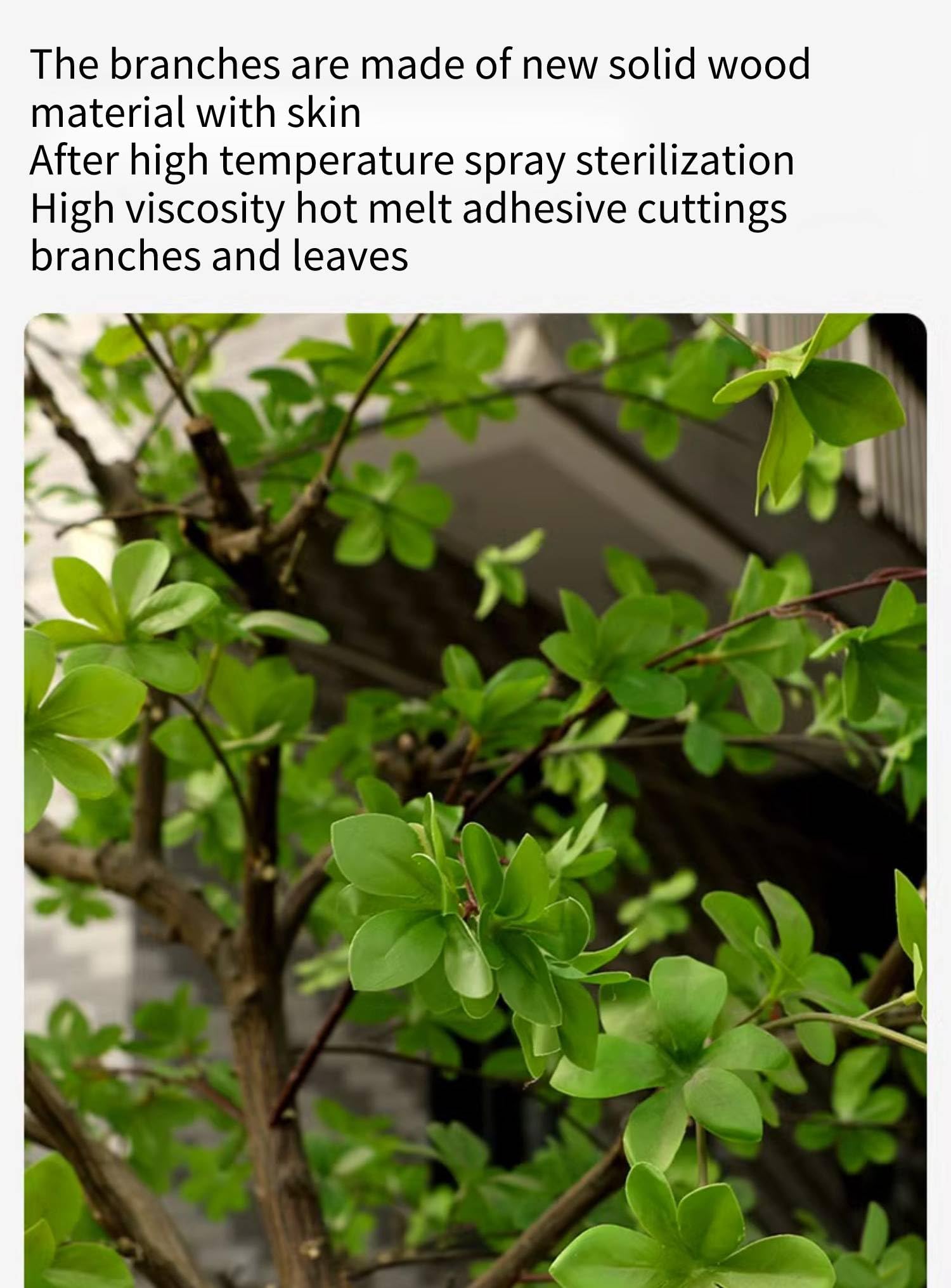 Bell Tree konia pijany drewno drzewo drzewo nordyckie w pomieszczenia Fałszywa Zielona roślina